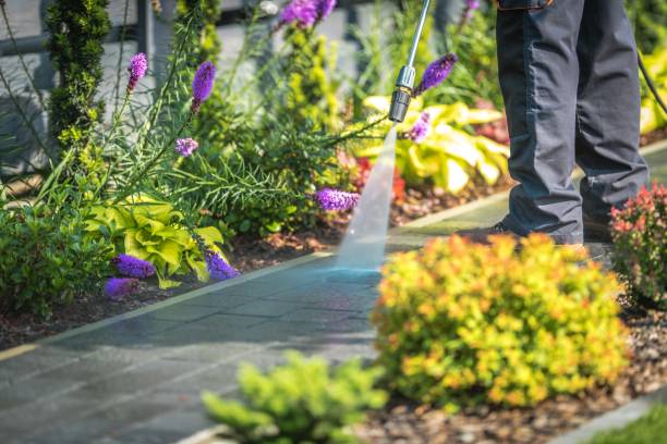 Best Parking Lot and Garage Cleaning  in Cresco, IA