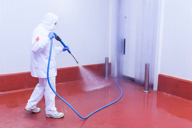 Best Fleet Vehicle Washing  in Cresco, IA
